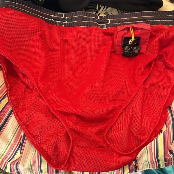 Tommy Hilfiger Mens Stripes Elastic Waist Drawstring Built In Brief Swim Trunks - Picture 12 of 14